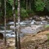 rain-forest-waterfall-phang-nga-2