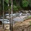 rain-forest-waterfall-phang-nga-2