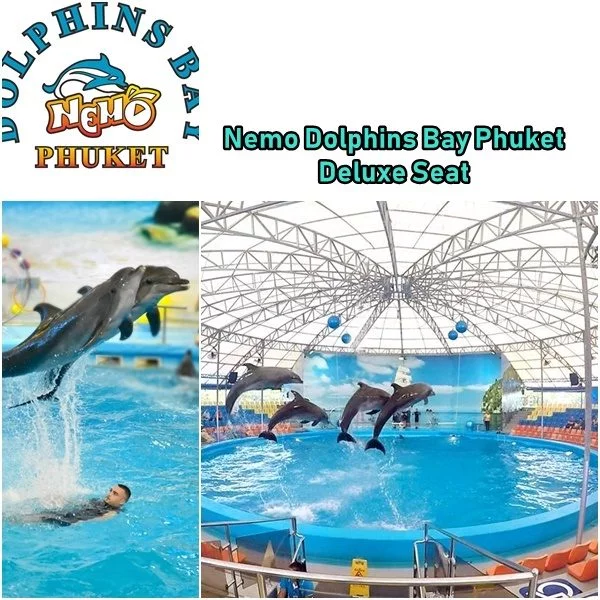 Nemo Dolphins Bay Phuket Deluxe Seat