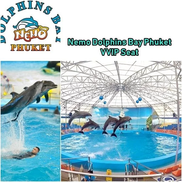 Nemo Dolphins Bay Phuket VVIP Seat