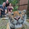 Small-Tiger-Kingdom-Phuket Small-Tiger-Kingdom-Phuket