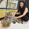 Small-Tiger-Kingdom-Phuket-4 Small-Tiger-Kingdom-Phuket-4