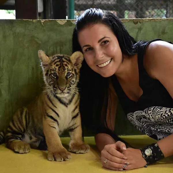 Smallest-Tiger-Kingdom-Phuket-7 Smallest-Tiger-Kingdom-Phuket-7