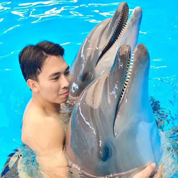 dolphins-show-ticket-swimming-with-dolphints