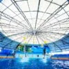 phuket-dolphints-show-ticket-entry