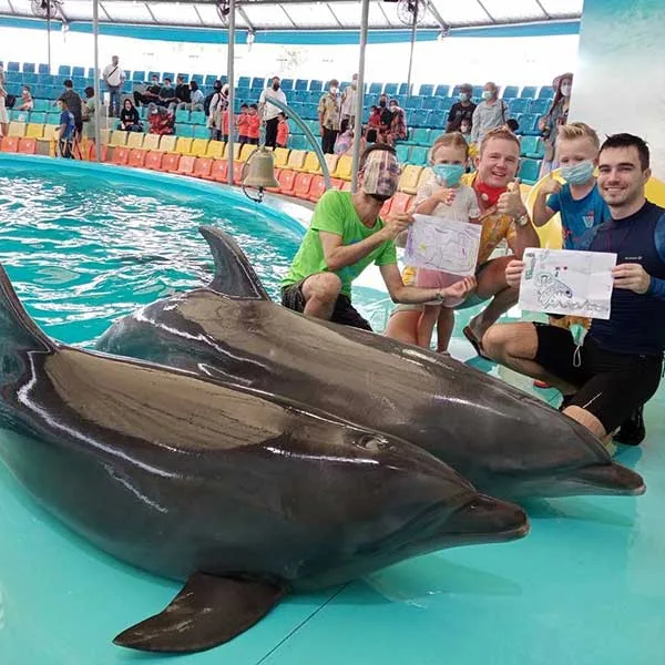 swimming-with-dolphins-phuket