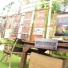tiger-trail-care-experience-mae-rim-chiang-mai