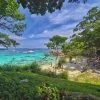premium-trip-racha-coral-island-speedboat premium-trip-racha-coral-island-speedboat