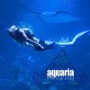Mermaid-Show-South-China-Sea-phuket-aquarium-central