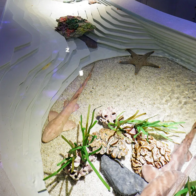 Phuket-Aquariam-Show-Central-Shopping-Mall-10