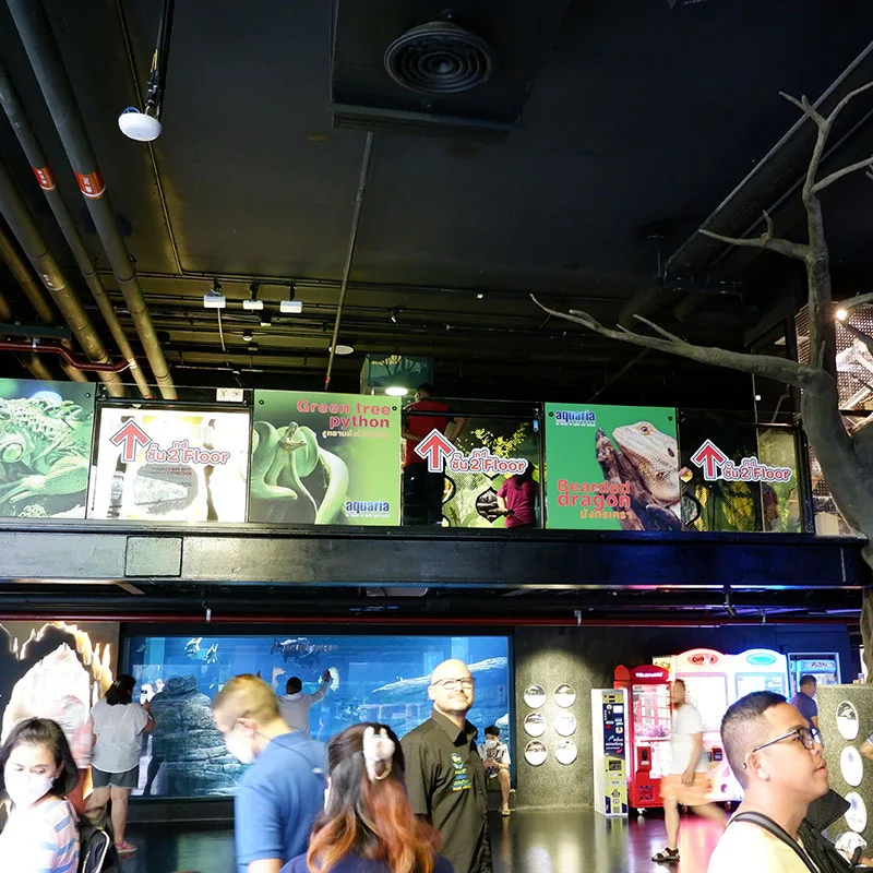 Phuket-Aquariam-Show-Central-Shopping-Mall-4