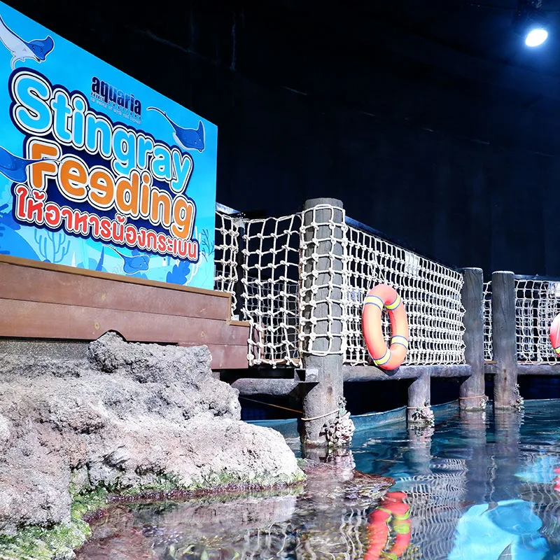 Phuket-Aquariam-Show-Central-Shopping-Mall-6