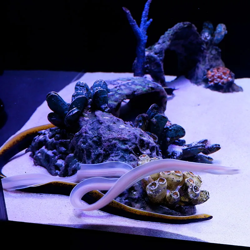 Phuket-Aquariam-Show-Central-Shopping-Mall-7