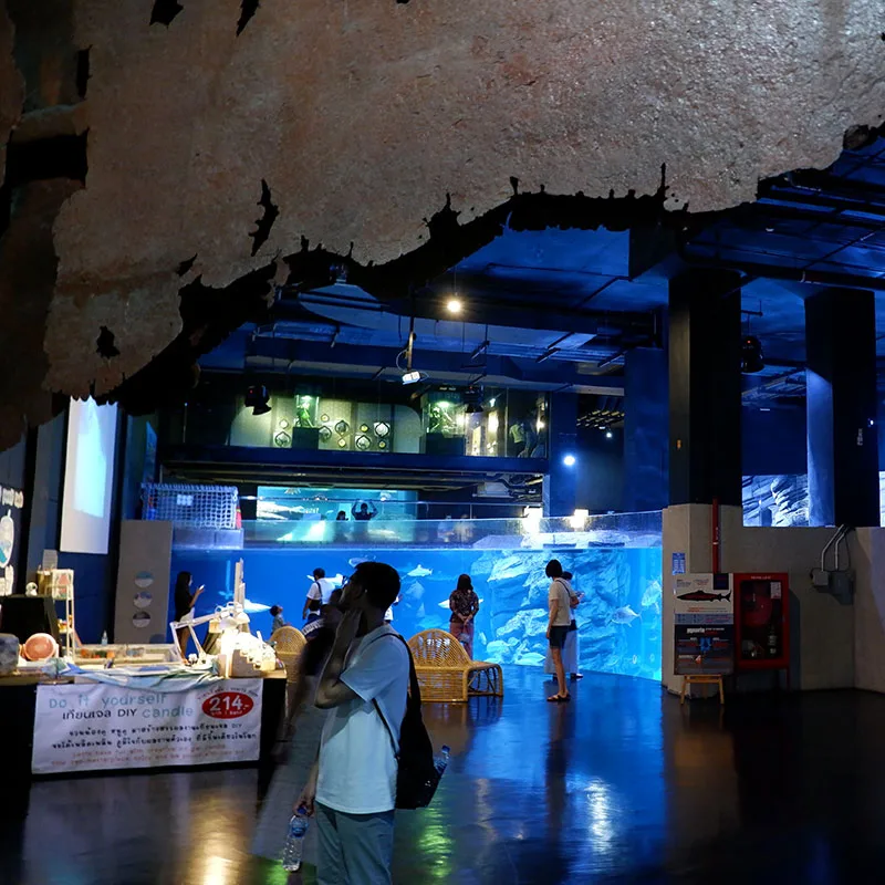 Phuket-Aquariam-Show-Central-Shopping-Mall-8