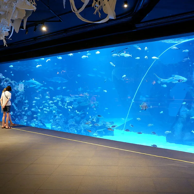 Phuket-Aquariam-Show-Central-Shopping-Mall-9