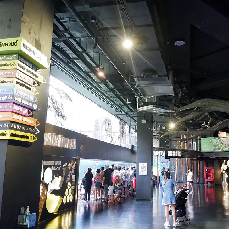 Phuket-Aquariam-Show-Central-Shopping-Mall