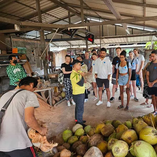 safari-tour-samui-coconut-village safari-tour-samui-coconut-village