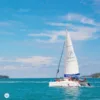 afternoon-tour-coral-island-sailing-catamaran
