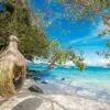banana-beach-coral-island-day-tour-yacht banana-beach-coral-island-day-tour-yacht