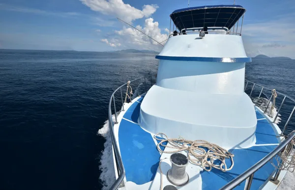 day-tripfishing-private-charters-coral-island
