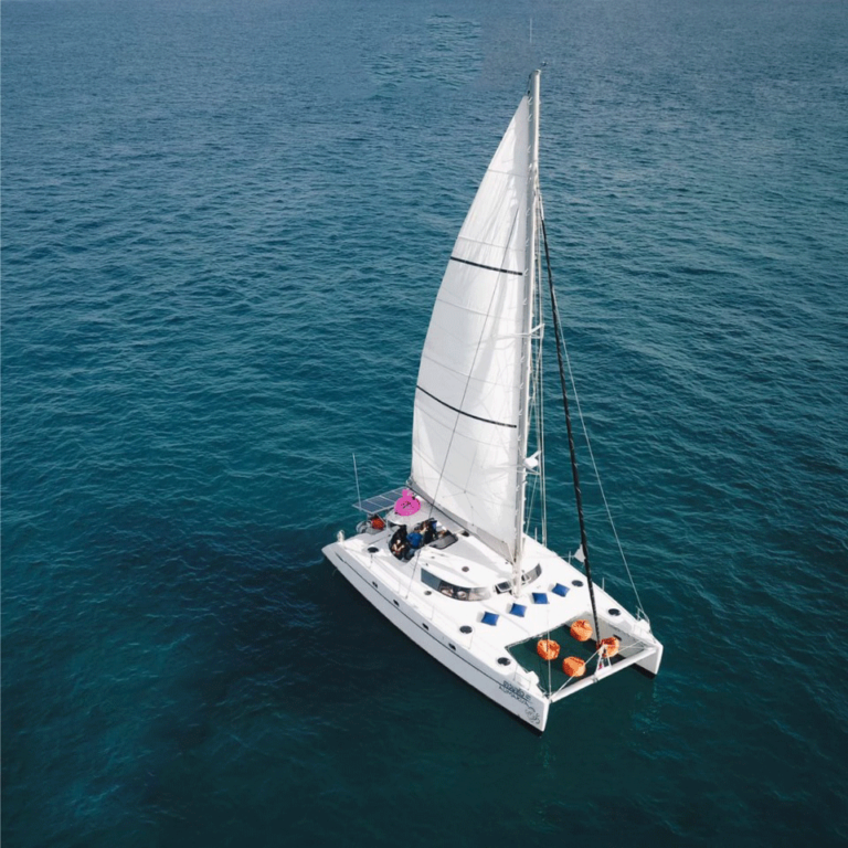 sailing catamaran rent