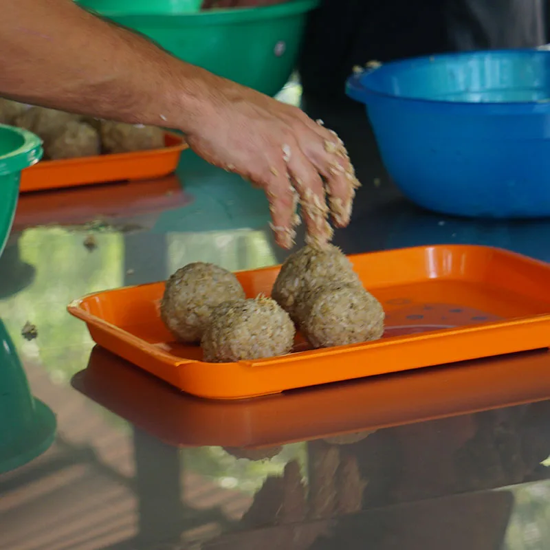 Full-Day-Elephant-Cooking-Feed-Elephant-Adventure-Samui-2 Full-Day-Elephant-Cooking-Feed-Elephant-Adventure-Samui-2