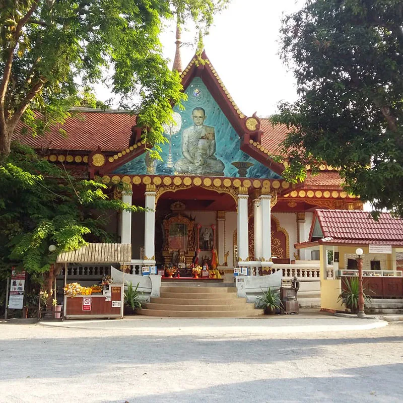 Full-Day-Elephant-Cooking-Feed-Elephant-Adventure-Samui-4 Full-Day-Elephant-Cooking-Feed-Elephant-Adventure-Samui-4
