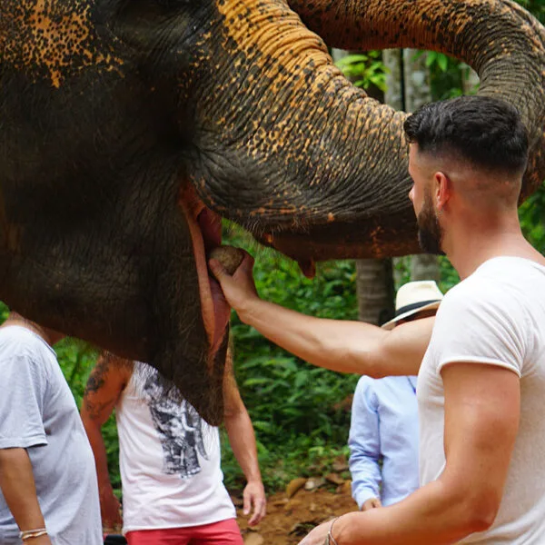 Full-Day-Elephant-Cooking-Feed-Elephant-Adventure-Samui