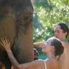 best-elephant-mud-spa-safari-tour