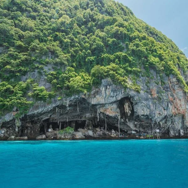 phuket-day-tour-viking-cave-phi-phi-island-speed-catamaran phuket-day-tour-viking-cave-phi-phi-island-speed-catamaran