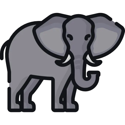 Elephant Care