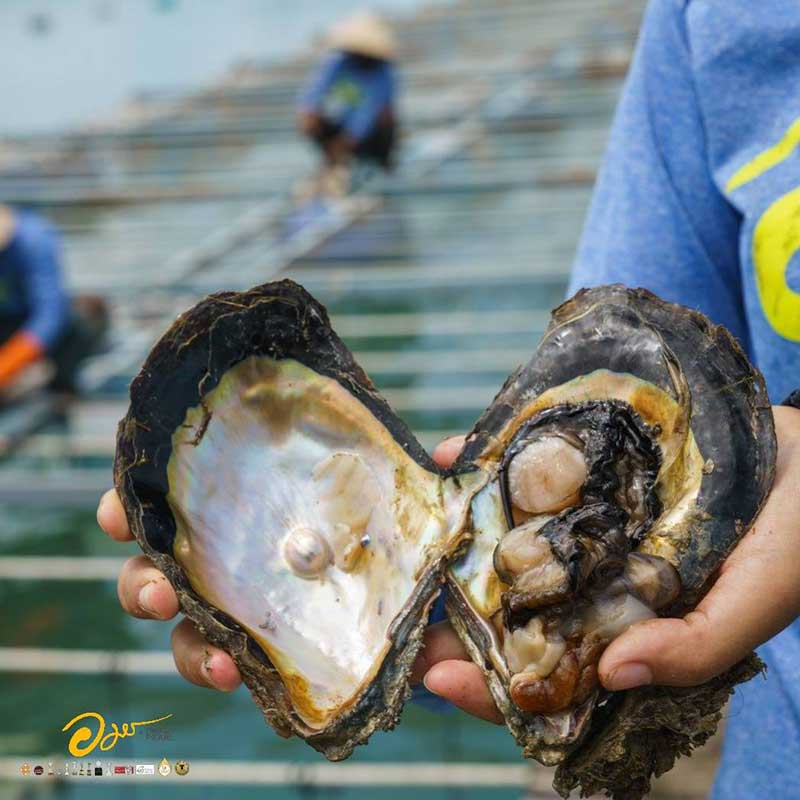 C: Half Day City Tour Pearl Farm - Big Buddha Phuket