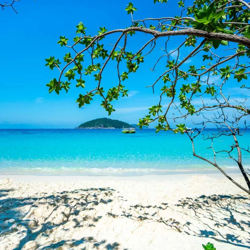 Phuket-Khaolak-Fantastic-premium-speedboat-Similan