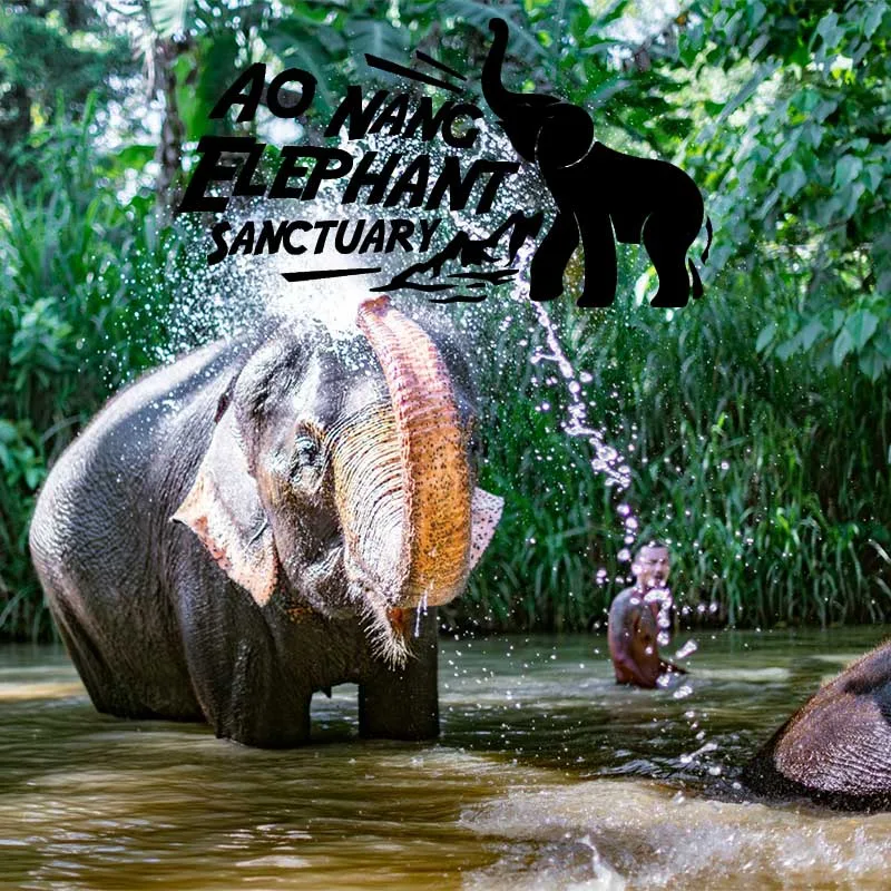 Aonang-elephant-sanctuary-half-day-visit