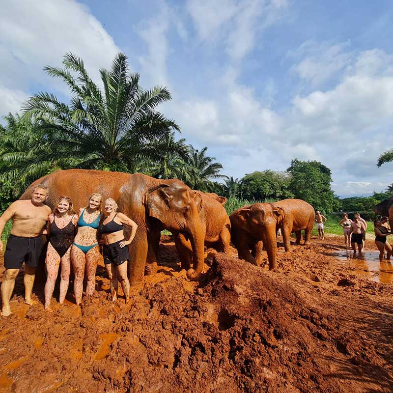 krabi-half-day-visit-elephant-house-sanctuary krabi-half-day-visit-elephant-house-sanctuary