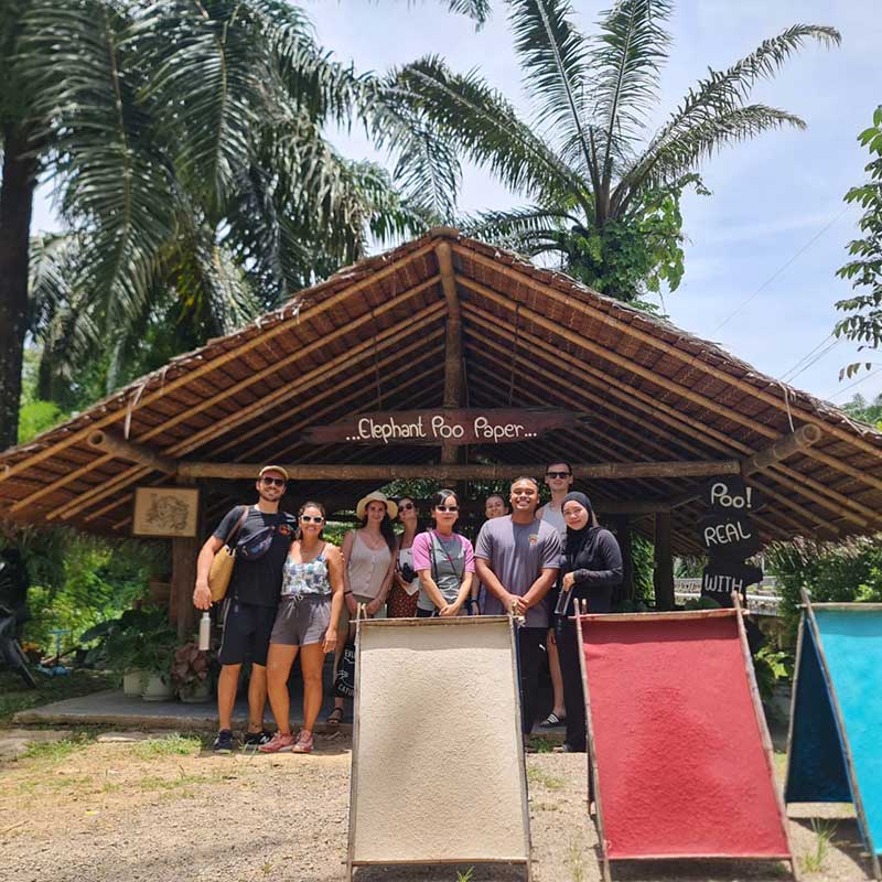 learn-and-make-paper-from-elephant-poopoo-krabi learn-and-make-paper-from-elephant-poopoo-krabi