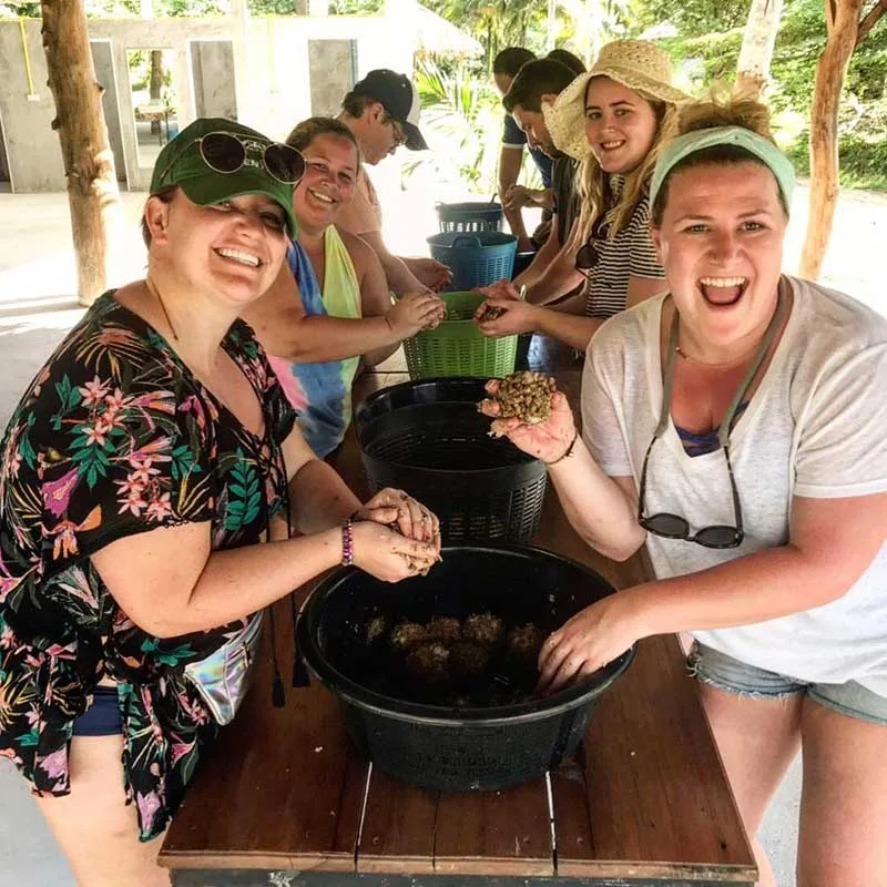 making-elephant-food-and-feed-at-Aonang-elephant-sanctuary
