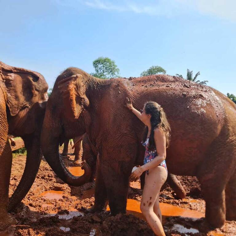 The Elephant House Sanctuary Krabi