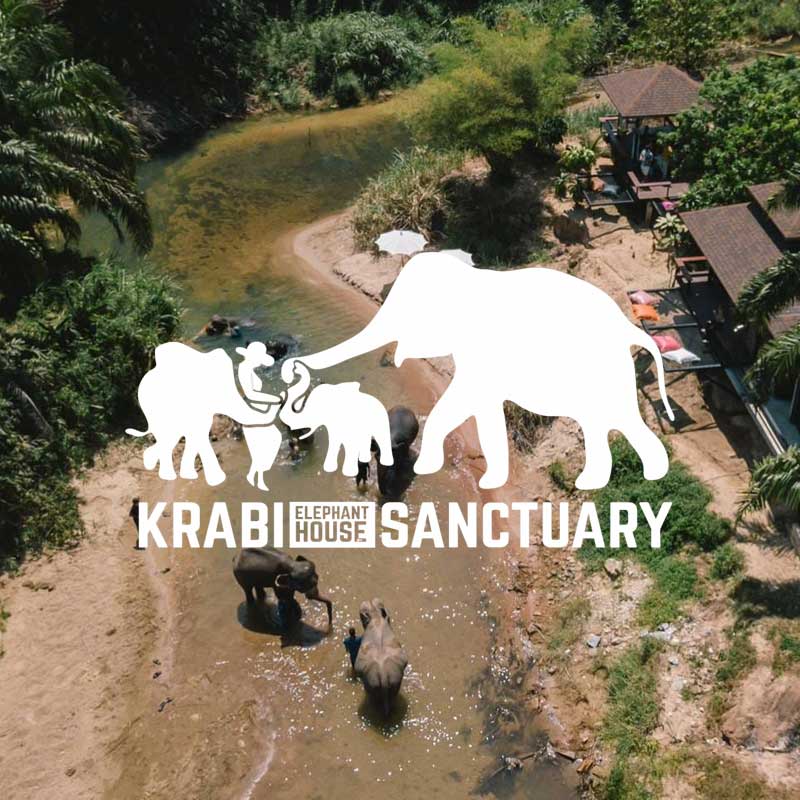 the-elephant-house-sanctuary-krabi the-elephant-house-sanctuary-krabi