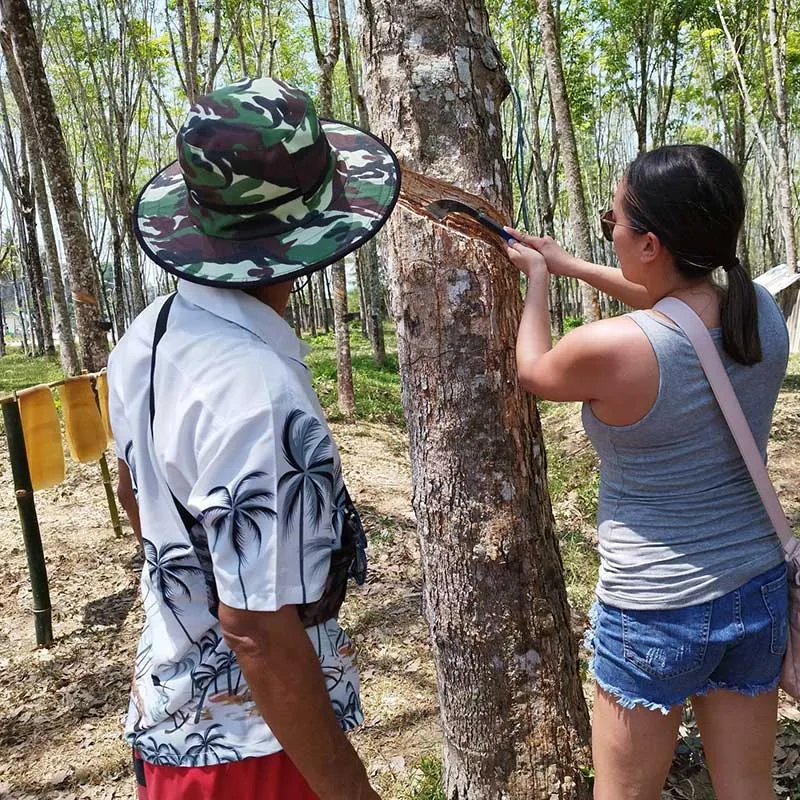 Phuket-local-eco-adventure-community-based-tourism-learn-rubber-tree Phuket-local-eco-adventure-community-based-tourism-learn-rubber-tree