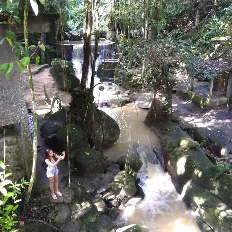 Tanim-Magic-Garden-Koh-Samui-Full-Day-Sightseeing-Tours Tanim-Magic-Garden-Koh-Samui-Full-Day-Sightseeing-Tours