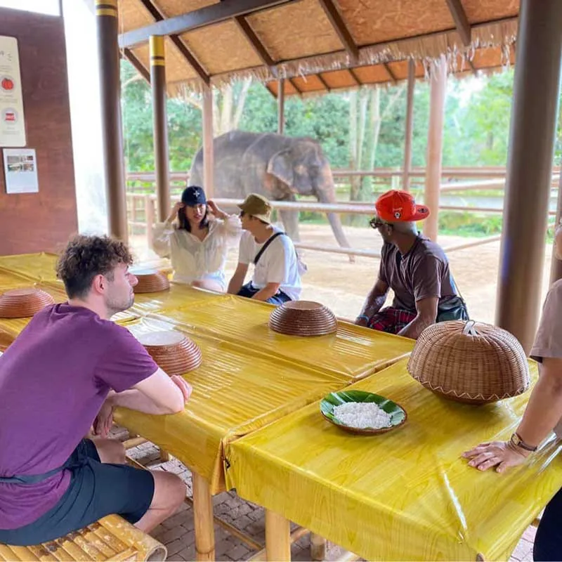 koh-samui-day-trip-learn-to-make-elephant-food koh-samui-day-trip-learn-to-make-elephant-food