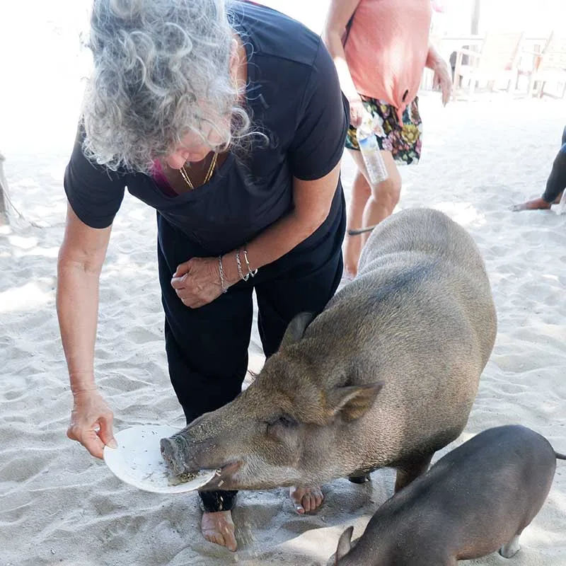 koh-samui-pig-island-koh-madsum-tour-half-day-private-longtail-boat