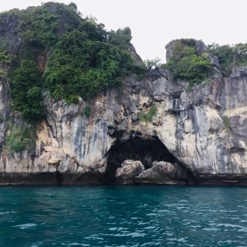 koh-samui-pink-dolphins-sightseeing-tour-by-speedboat koh-samui-pink-dolphins-sightseeing-tour-by-speedboat