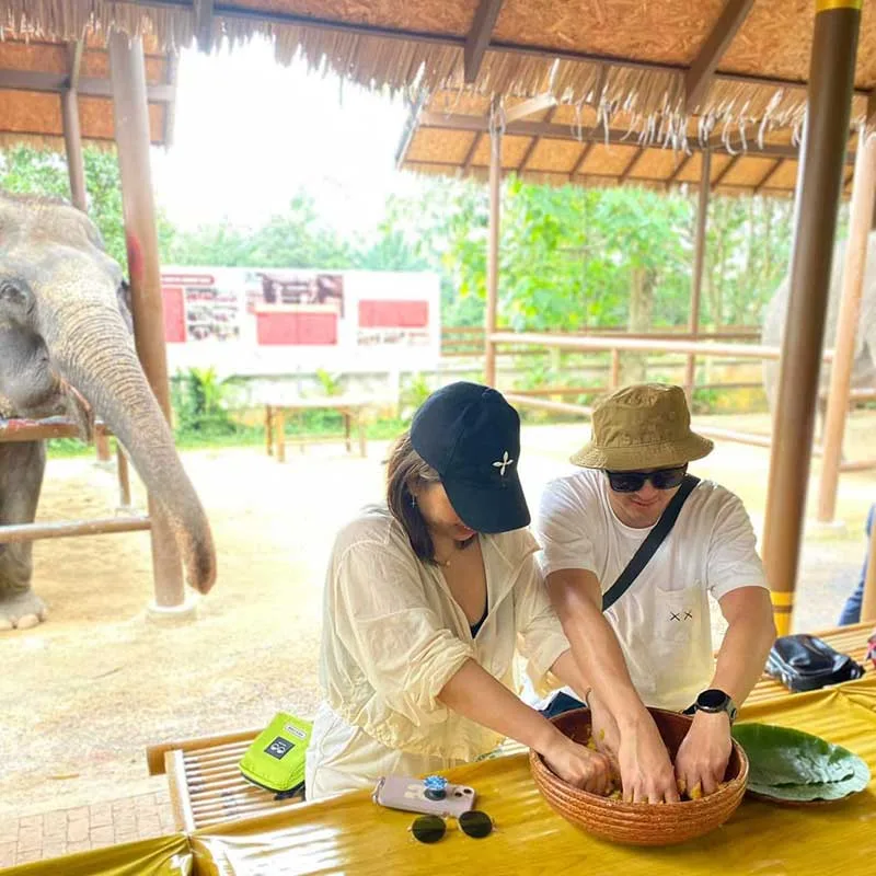 learn-how-to-make-elephant-food-and-feed-full-day-tours-koh-samui-2 learn-how-to-make-elephant-food-and-feed-full-day-tours-koh-samui-2