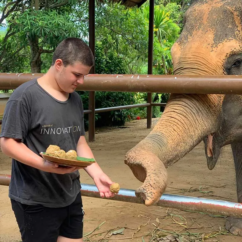 learn-how-to-make-elephant-food-and-feed-full-day-tours-koh-samui learn-how-to-make-elephant-food-and-feed-full-day-tours-koh-samui