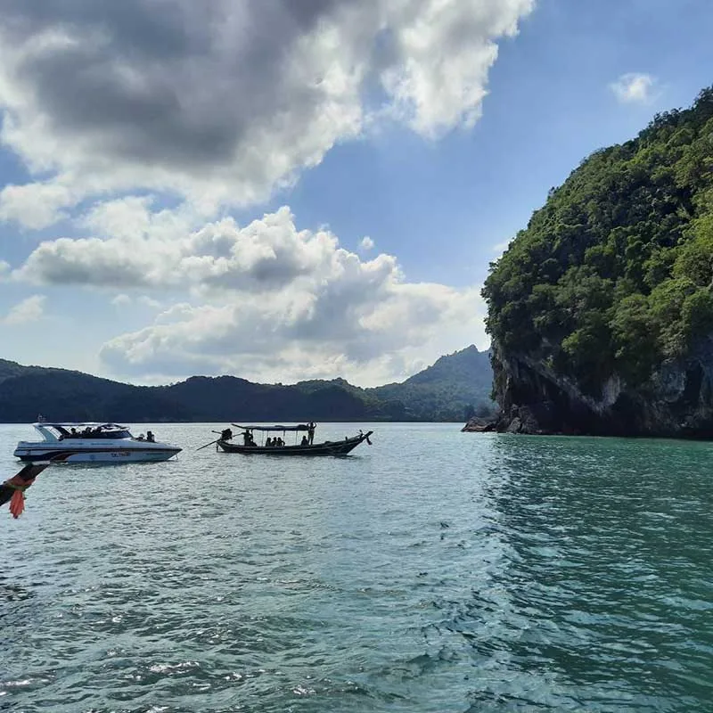 pink-dolphins-day-tour-khanom-koh-samui-by-speedboat pink-dolphins-day-tour-khanom-koh-samui-by-speedboat