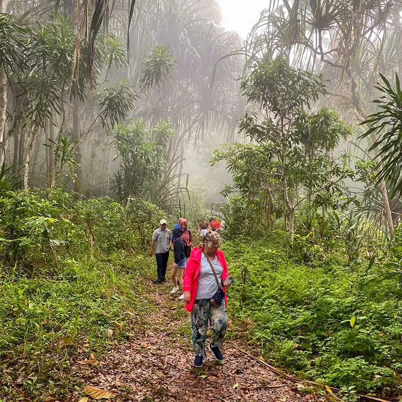 rainforest-tours-koh-samui-full-day-off-road-by-4WD rainforest-tours-koh-samui-full-day-off-road-by-4WD