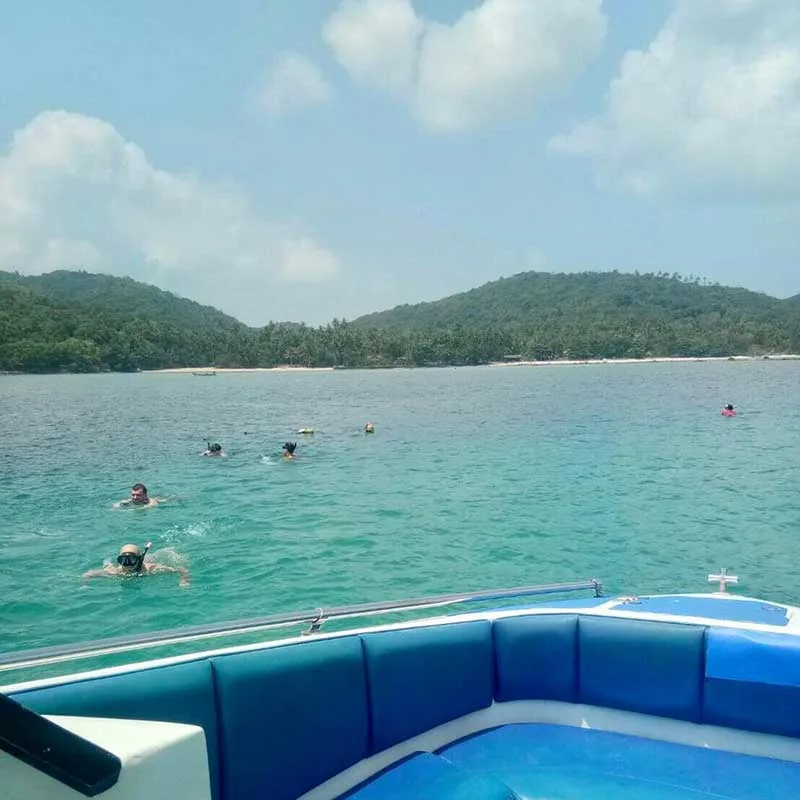 samui-day-trip-sightseeing-dolphin-and-snorkeling samui-day-trip-sightseeing-dolphin-and-snorkeling