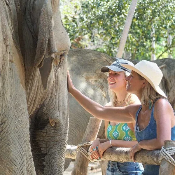 samui-elephant-jungle-sanctuary-experience